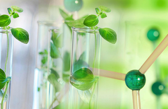 Green & Sustainable Chemicals